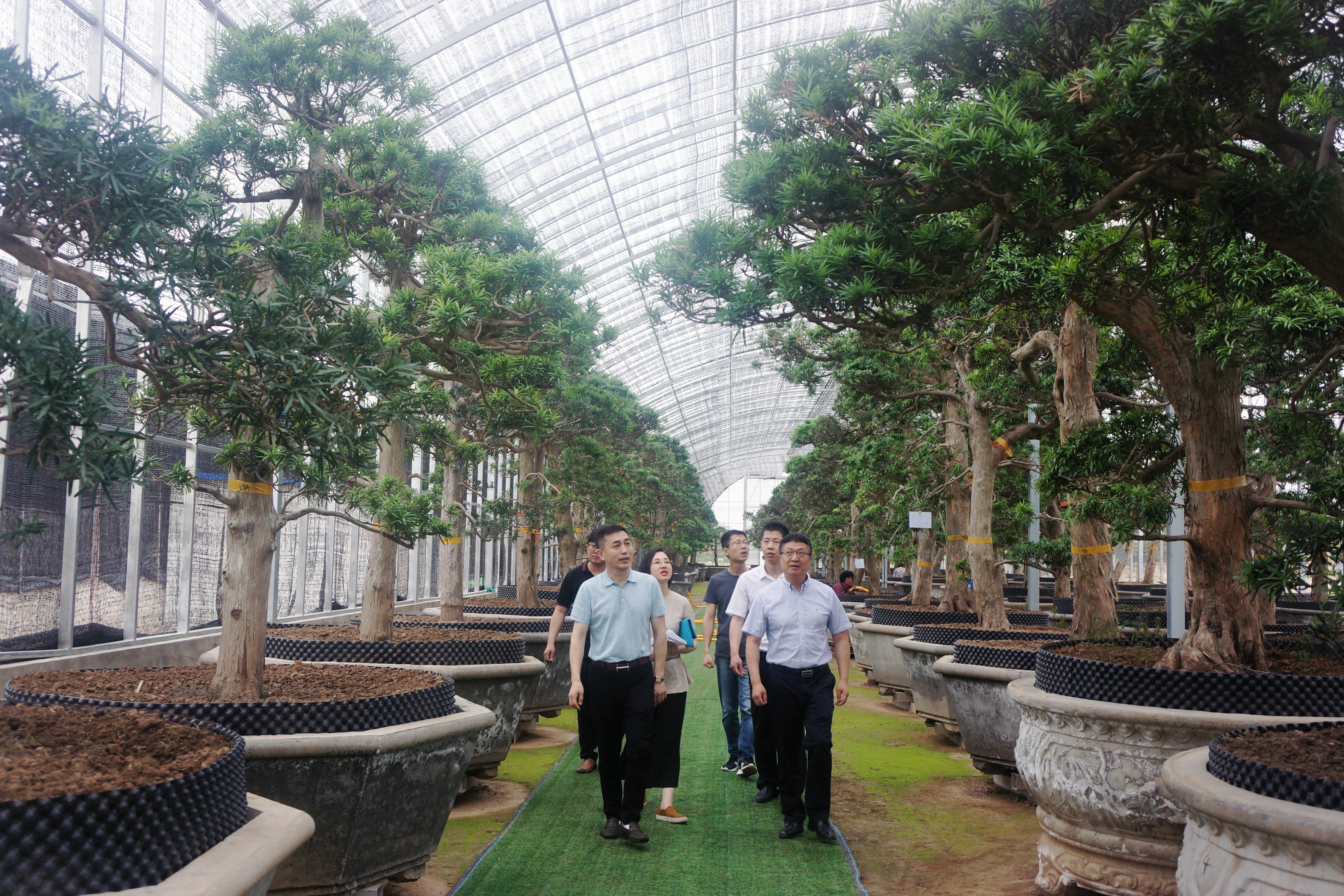 蘇亞文到基泰集團調(diào)研