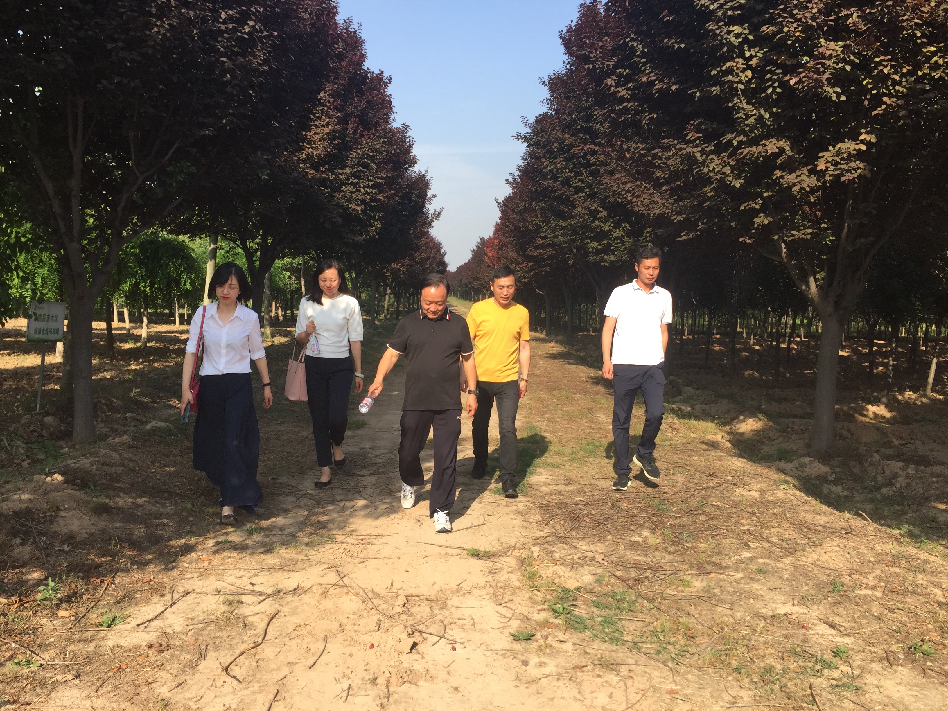 王新榮一行來集團調(diào)研現(xiàn)代農(nóng)業(yè)項目