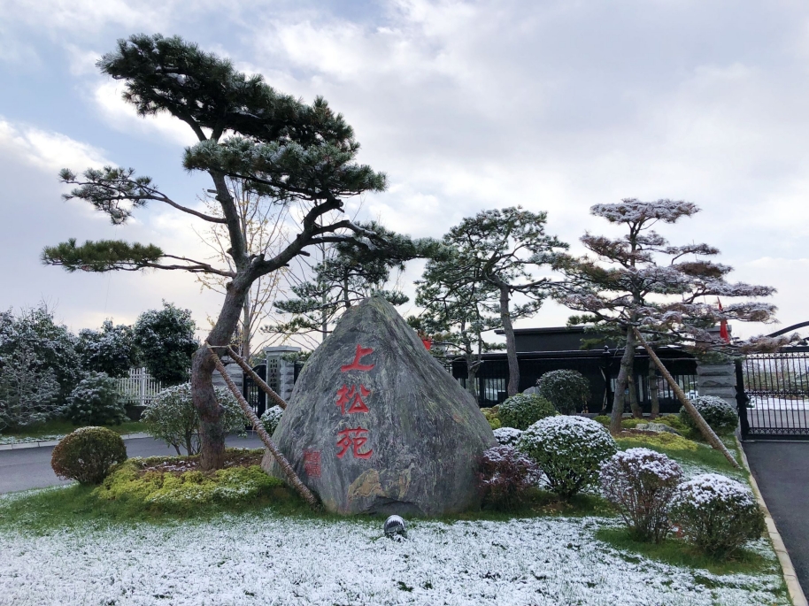 告別暮秋 與冬相擁