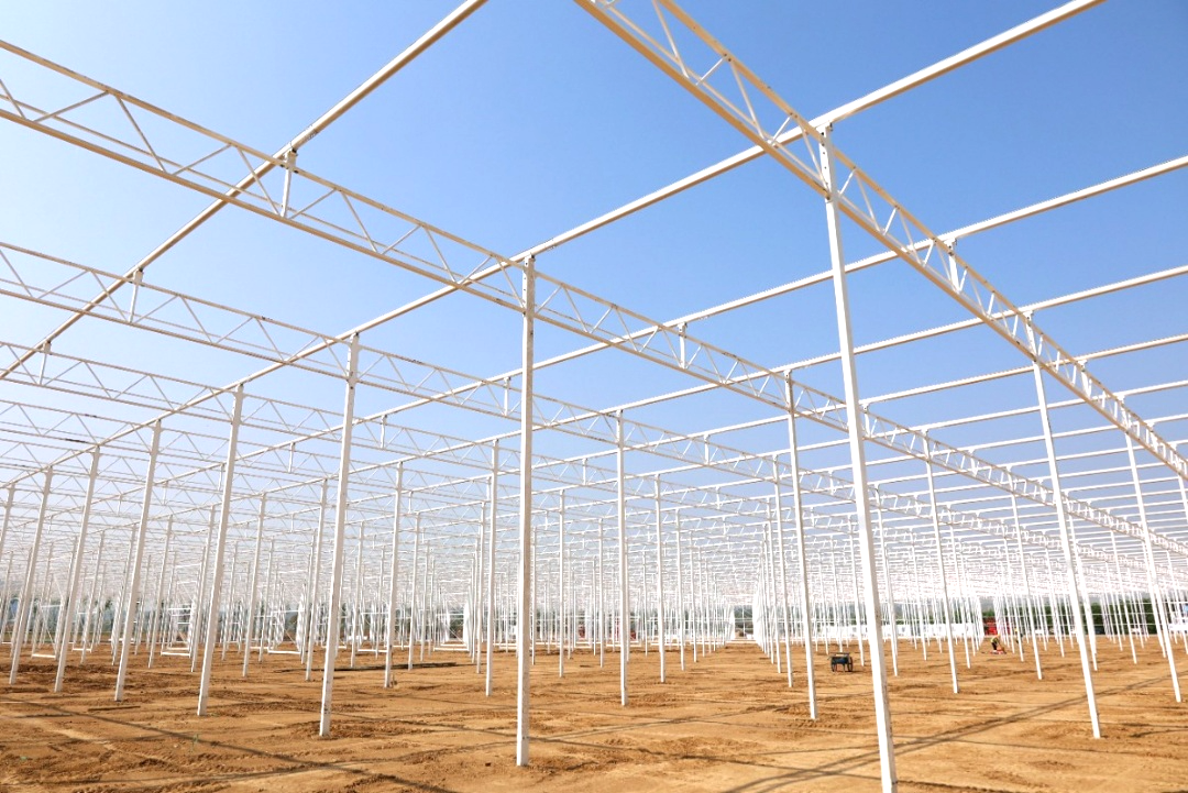玫瑰溫室主體骨架完工！