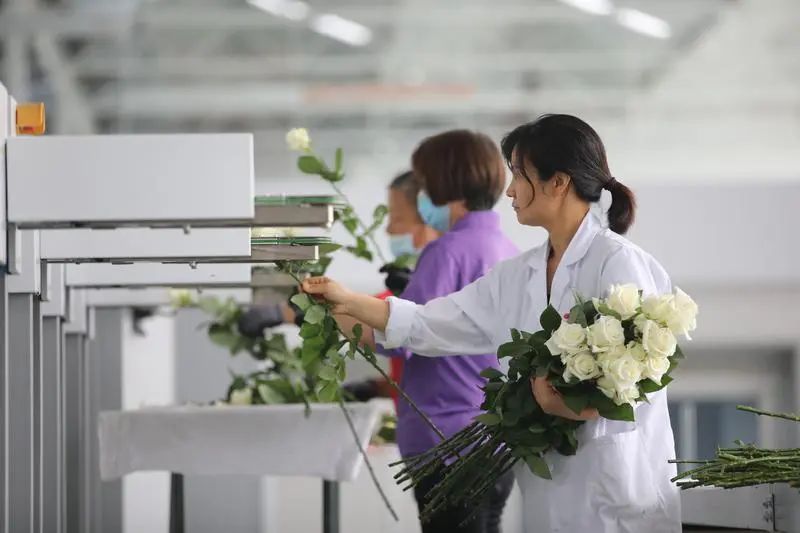 群眾新聞報道基泰園藝！